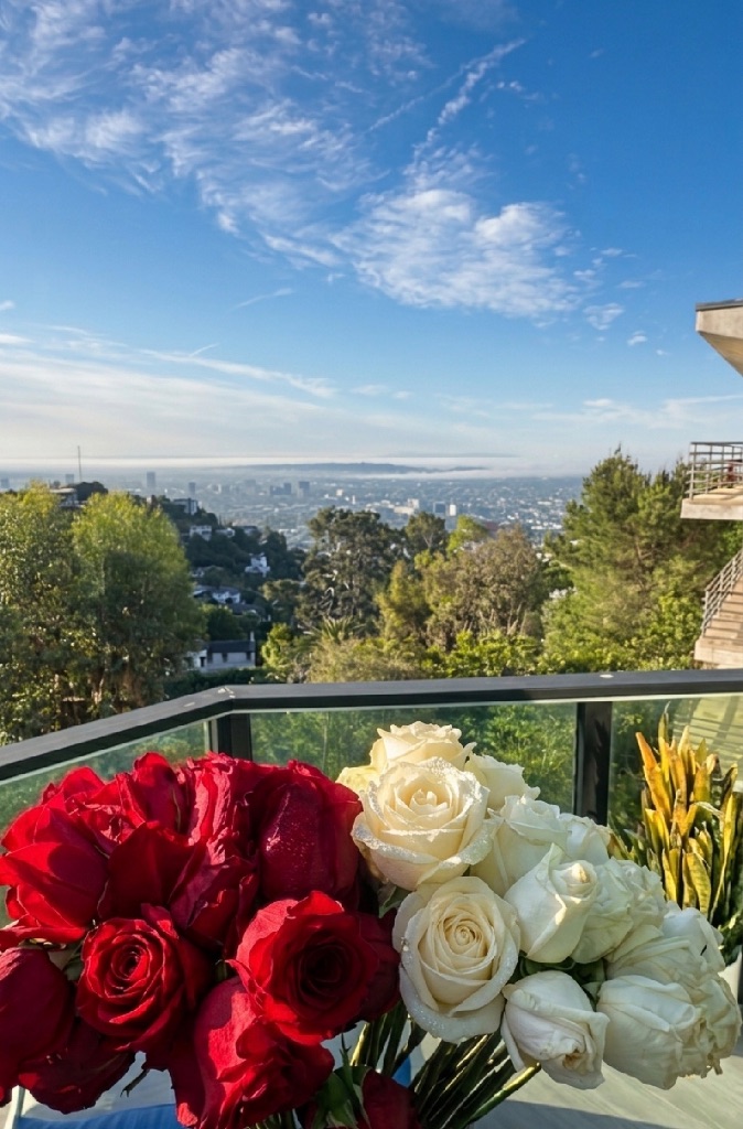 Roses with LA skyline view